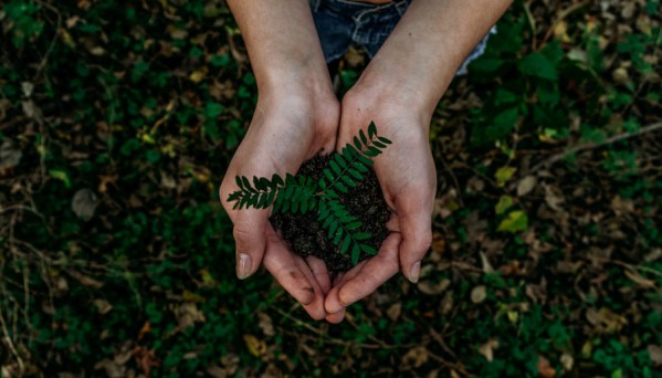 Sustainability initiatives